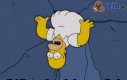 Homer utknął w dziurze