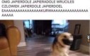 AAAAAAAAAAAAAAAAAAAAAa