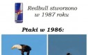 Redbull doda Ci skrzydeł!