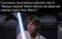 No niesamowite