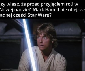 No niesamowite