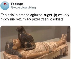 One wiedzą