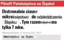 Wszystko wina Bolesława