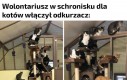 Wiadoma reakcja