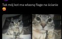 Czy lubi malować obrazy?
