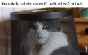 Jedyny sposób