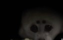 :3