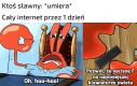 Takie są zasady