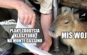 Miś Wojtek był kapibarą
