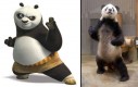 Panda: oczekiwania vs rzeczywistość