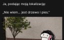 Nie ogarniam ulic