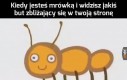 Żegnajcie