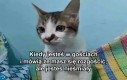 To nie takie proste