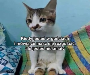 To nie takie proste