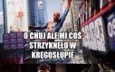 Gdybym był Spidermanem