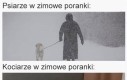 Boże błogosław kuwety