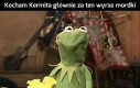 Kermit najlepszy