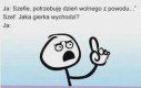 Rozgryziony jak orzech