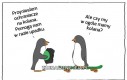 Czy pingwiny mają kolana?