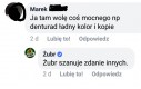 Żubry są bardzo tolerancyjne