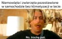 Robi się gorąco...