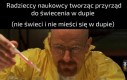 O cię florek, Makłowicz nawiązanie