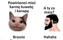 Wyrażam zainteresowanie