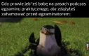 To się nie wydarzyło, kapiszi?
