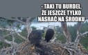 To tylko takie powiedzenie