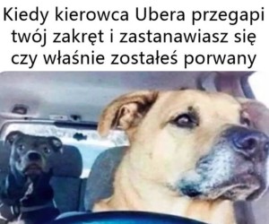 Niepokoję się