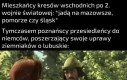 Wielkie poznańskiem