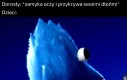 Gdzie on polazł?