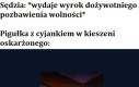 Distressing meme/Schizoposting