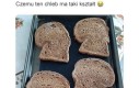 Pewnego bardzo przystojnego kalmara