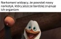 Cóż za cudo!