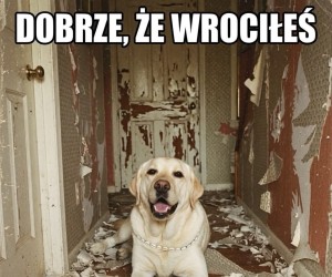 A to prowokatorzy