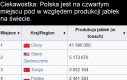 Jabłkowy flex Polski