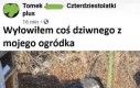 Jak coś to fragment rakiety Elona
