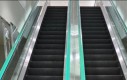 Hatsune schodziku
