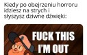 Kocie, czemu uciekasz?