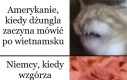 O nie