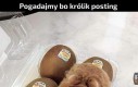 Gadajec dla jajec
