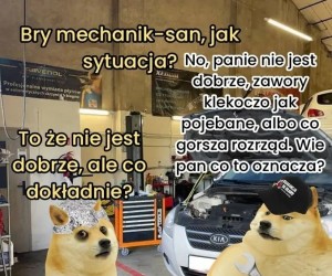 Złoty środek
