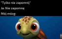 Zapomnę