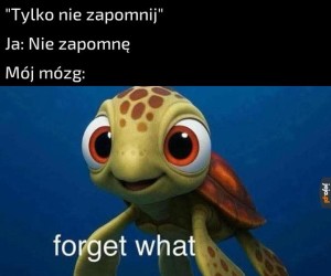 Zapomnę