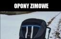 Zimowy spacer