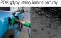 Wąchałbym