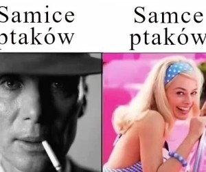 Inaczej niż u ludzi
