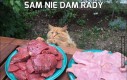 Sam nie dam rady