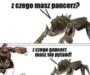 Ja ci dam pancerz z pełzaczy!
